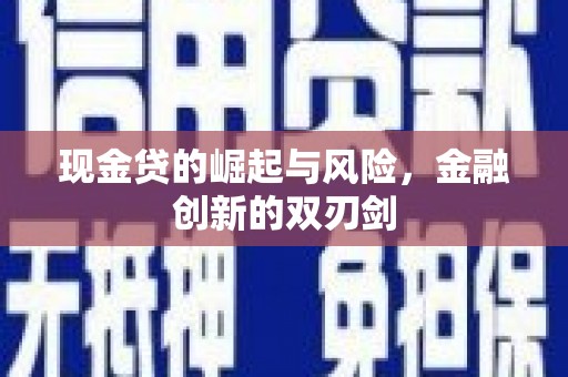 永寿现金贷的崛起与风险，金融创新的双刃剑