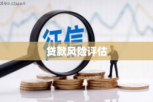 永寿贷款风险评估