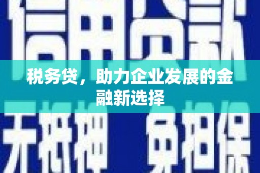 永寿税务贷，助力企业发展的金融新选择