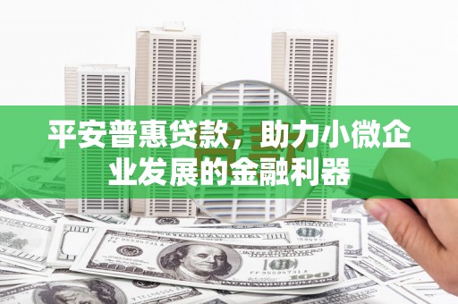 永寿平安普惠贷款，助力小微企业发展的金融利器