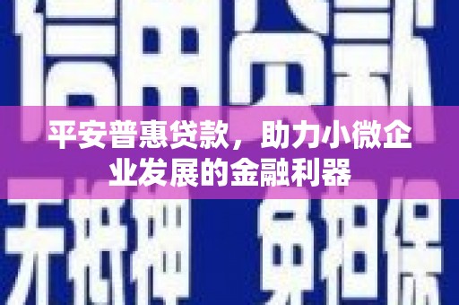 永寿平安普惠贷款，助力小微企业发展的金融利器