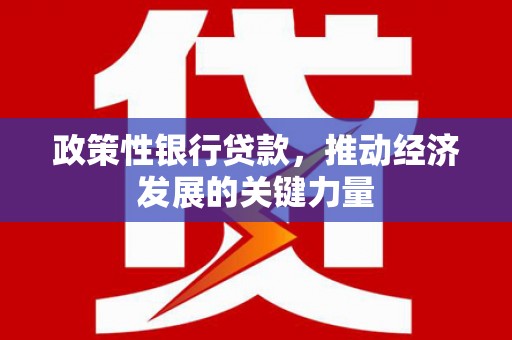 永寿政策性银行贷款，推动经济发展的关键力量