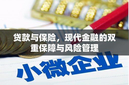 永寿贷款与保险，现代金融的双重保障与风险管理