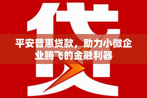 永寿平安普惠贷款，助力小微企业腾飞的金融利器