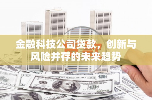 永寿金融科技公司贷款，创新与风险并存的未来趋势