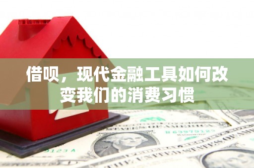 永寿借呗，现代金融工具如何改变我们的消费习惯