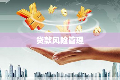 永寿贷款风险管理