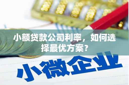 永寿小额贷款公司利率，如何选择最优方案？