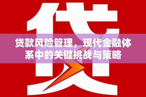 永寿贷款风险管理，现代金融体系中的关键挑战与策略