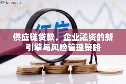 永寿供应链贷款，企业融资的新引擎与风险管理策略