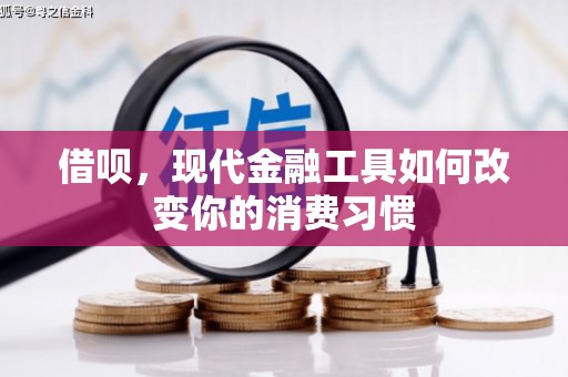 永寿借呗，现代金融工具如何改变你的消费习惯