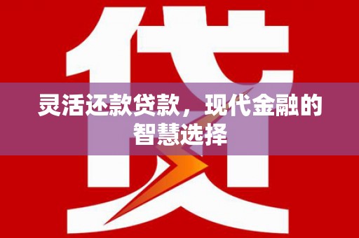 永寿灵活还款贷款，现代金融的智慧选择