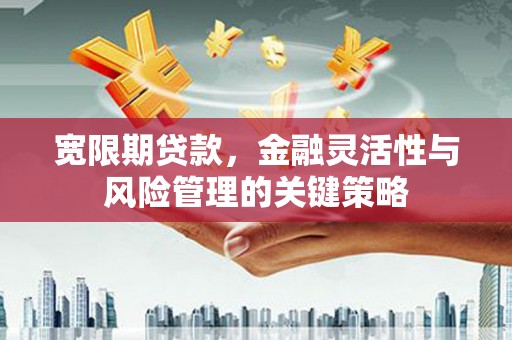 永寿宽限期贷款，金融灵活性与风险管理的关键策略