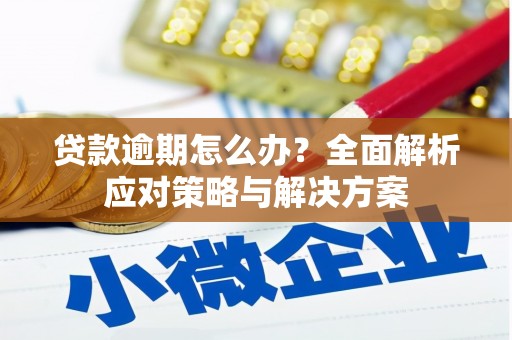 永寿贷款逾期怎么办？全面解析应对策略与解决方案