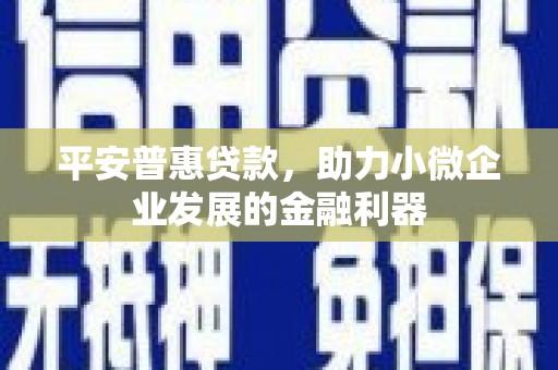 永寿平安普惠贷款，助力小微企业发展的金融利器