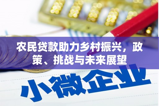 永寿农民贷款助力乡村振兴，政策、挑战与未来展望