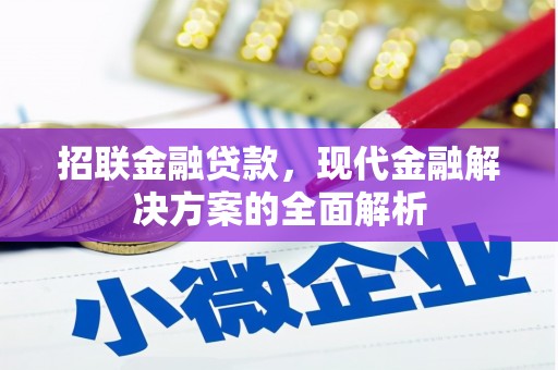 永寿招联金融贷款，现代金融解决方案的全面解析
