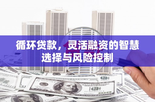 永寿循环贷款，灵活融资的智慧选择与风险控制