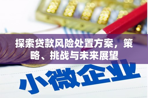 永寿探索贷款风险处置方案，策略、挑战与未来展望