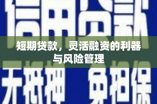 永寿短期贷款，灵活融资的利器与风险管理