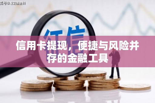永寿信用卡提现，便捷与风险并存的金融工具