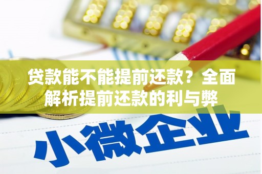 永寿贷款能不能提前还款？全面解析提前还款的利与弊