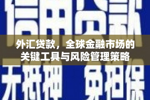 永寿外汇贷款，全球金融市场的关键工具与风险管理策略
