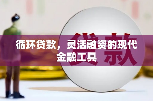 永寿循环贷款，灵活融资的现代金融工具