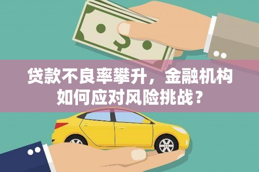 永寿贷款不良率攀升，金融机构如何应对风险挑战？