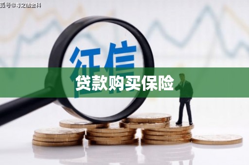永寿贷款购买保险