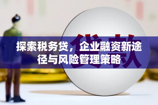 永寿探索税务贷，企业融资新途径与风险管理策略