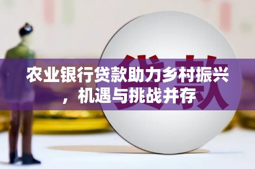 永寿农业银行贷款助力乡村振兴，机遇与挑战并存