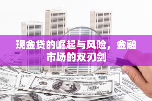 永寿现金贷的崛起与风险，金融市场的双刃剑