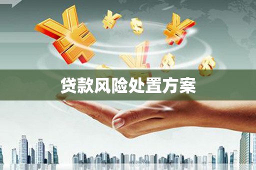 永寿贷款风险处置方案