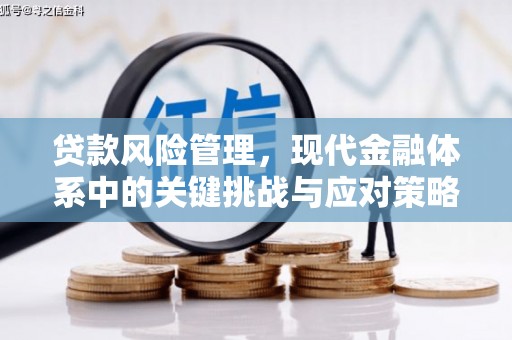 永寿贷款风险管理，现代金融体系中的关键挑战与应对策略
