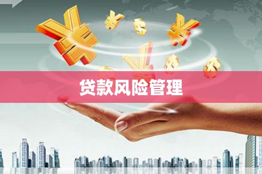 永寿贷款风险管理