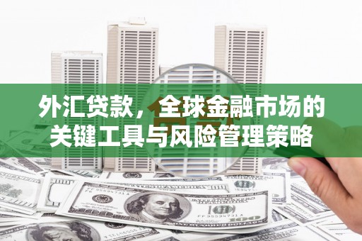 永寿外汇贷款，全球金融市场的关键工具与风险管理策略