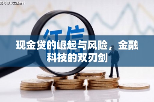 永寿现金贷的崛起与风险，金融科技的双刃剑