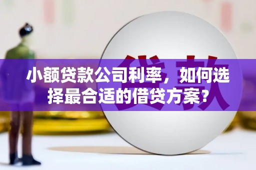 永寿小额贷款公司利率，如何选择最合适的借贷方案？