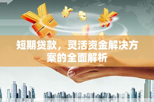 永寿短期贷款，灵活资金解决方案的全面解析