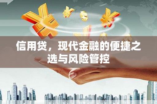 永寿信用贷，现代金融的便捷之选与风险管控