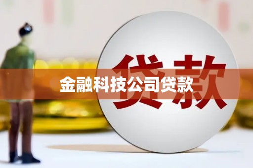 永寿金融科技公司贷款