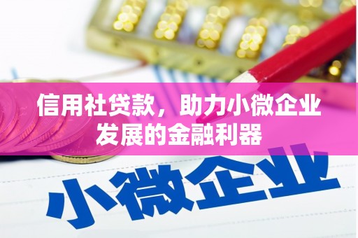 永寿信用社贷款，助力小微企业发展的金融利器