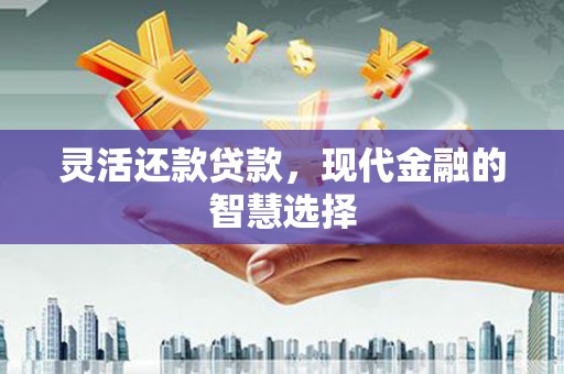永寿灵活还款贷款，现代金融的智慧选择