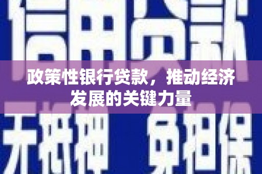 永寿政策性银行贷款，推动经济发展的关键力量