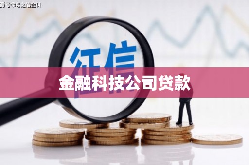永寿金融科技公司贷款