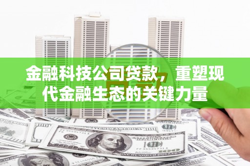 永寿金融科技公司贷款，重塑现代金融生态的关键力量