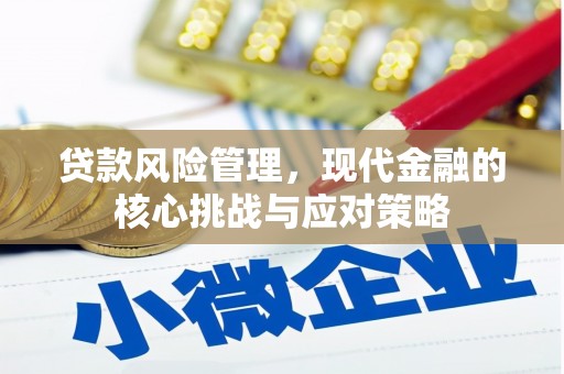 永寿贷款风险管理，现代金融的核心挑战与应对策略
