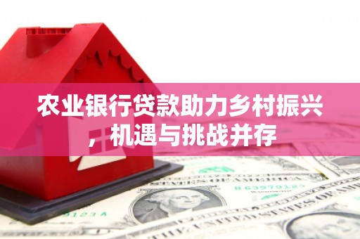 永寿农业银行贷款助力乡村振兴，机遇与挑战并存