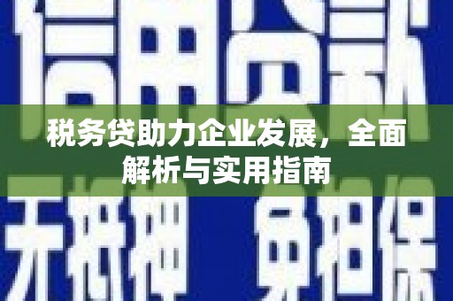 永寿税务贷助力企业发展，全面解析与实用指南